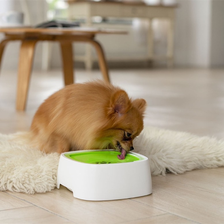Anti-slip drinkbak voor honden